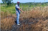 Polres Seluma Polda Bengkulu Temukan Lahan Terbakar Di Desa Lunjul, Seluma Barat
