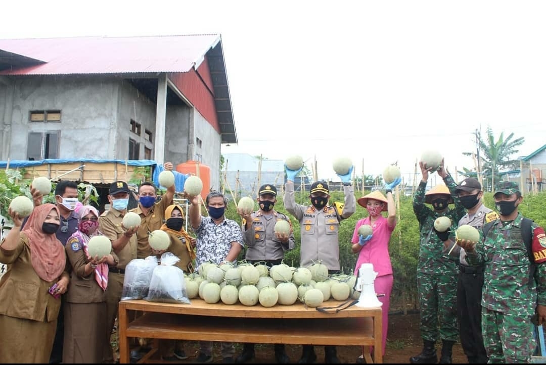 Polres Bengkulu Bersama Masyarakat  Panen Raya Buah Melon di Kampung Berseri