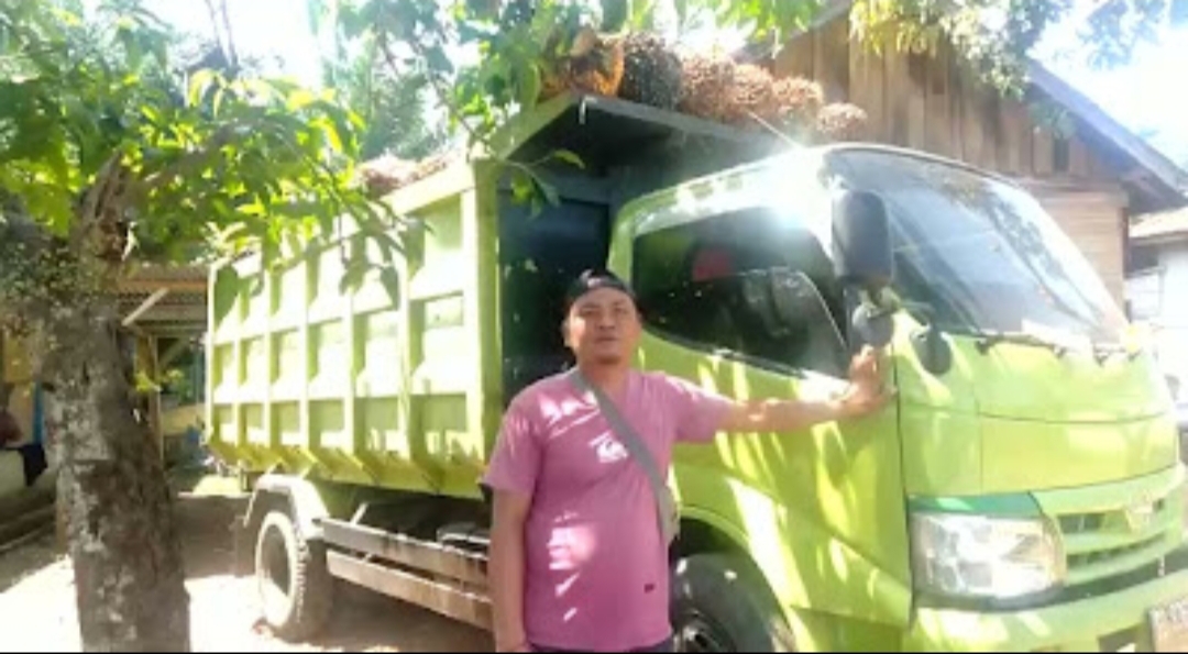 Petani Sawit Bengkulu Apresiasi Pencabutan Larangan Ekspor CPO Oleh Presiden Joko Widodo