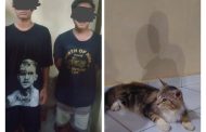 Curi Kucing Beserta Kandang, 2 Pemuda Ditangkap Polsek Muara Bangkahulu