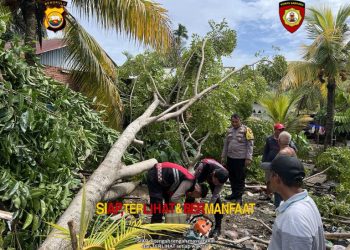 Personel Samapta Polda Bengkulu Gerak Cepat Evakuasi Pohon Tumbang di Rumah Warga