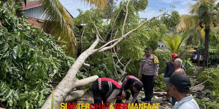 Personel Samapta Polda Bengkulu Gerak Cepat Evakuasi Pohon Tumbang di Rumah Warga