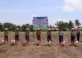 Dukung Ketahanan Pangan Nasional, Kapolda Bengkulu Tanam Jagung Kuartal III di Polres Bengkulu Selatan