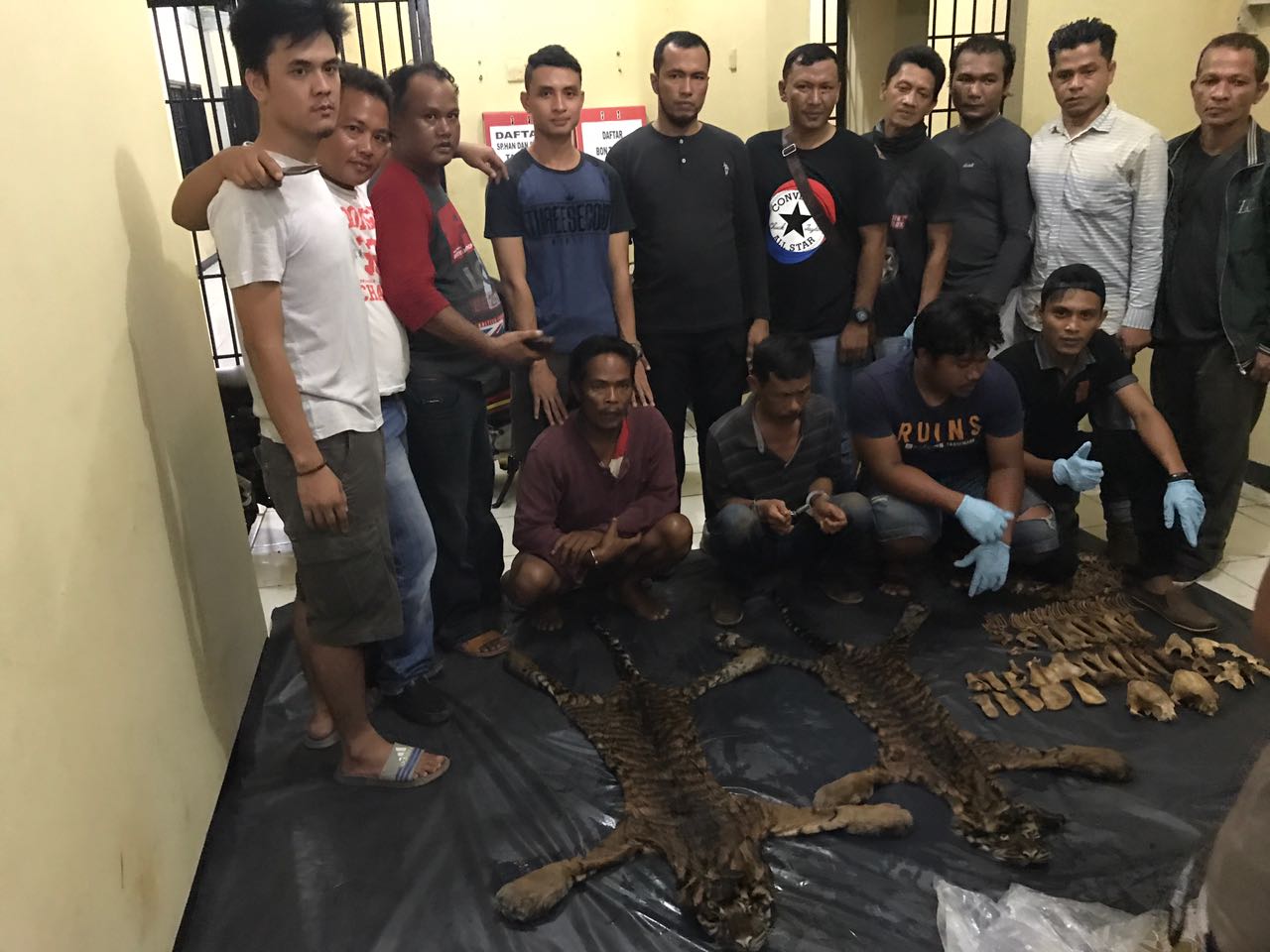 Jual Kulit Harimau, Warga Sumbar ditangkap Polisi