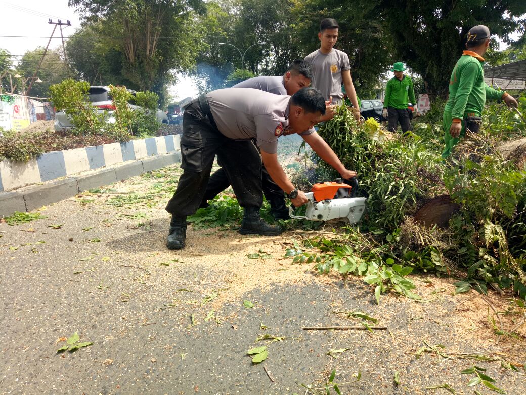 Unit SAR Sabhara Polda Bengkulu Evakuasi Pohon Tumbang