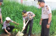 Hijaukan Lingkungan Polres Kepahiang,  Kapolres Tanam Pohon Durian, Mangga, Kelapa dan Petai
