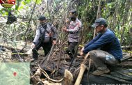 Cek Lokasi Gajah Mati, Tim Gabungan Temukan Sabun Diduga Beracun