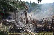 Polres MM Tinjau Kebakaran Lahan di Desa Talang Buai