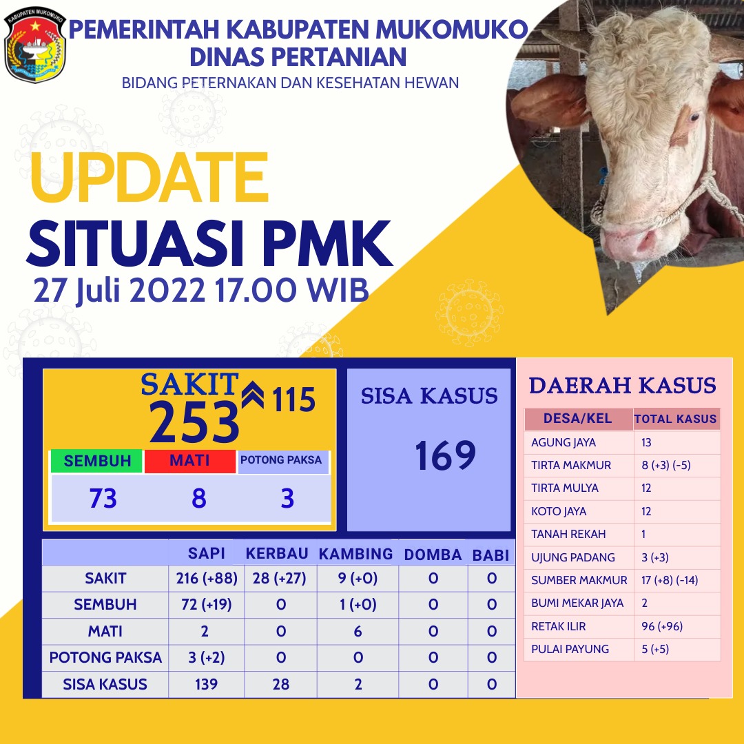 Update Perkembangan PMK di Mukomuko!