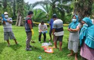 Polisi Pastikan Penemuan Mayat di Kebun Sawit Bengkulu Selatan Murni Karena Sakit