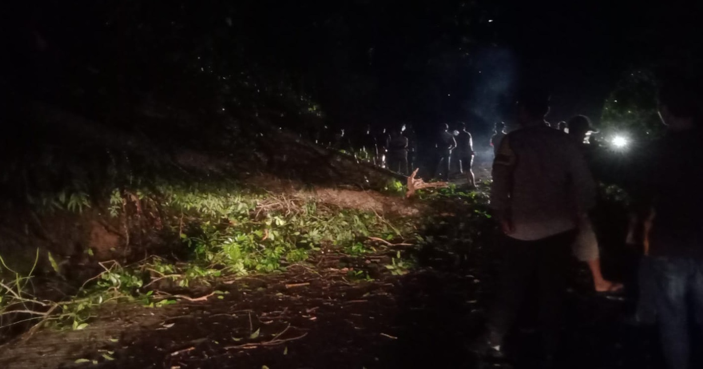 Masyarakat Apresiasi Respon Cepat Polsek Taba Penanjung Evakuasi Pohon Tumbang Saat Dini Hari