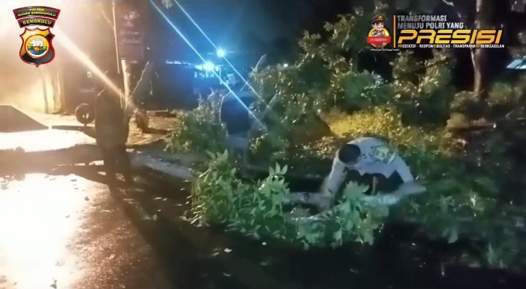 Kompak, Polsek Muara Bangkahulu Dibantu Warga Evakuasi Pohon Tumbang