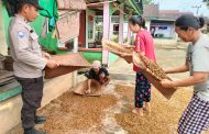 Jalin Kedekatan Masyarakat,  Bhabinkamtibmas Polsek Padang Ulak Tanding Aktif Sambang Desa