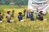 Kapolsek Talo Menghadiri Kegiatan Pemberdayaan Petani Dalam Pemasyarakatan PHT ( P4 ) & Panen Raya di Kelurahan Masmambang Kec.Talo ,Kab. Seluma