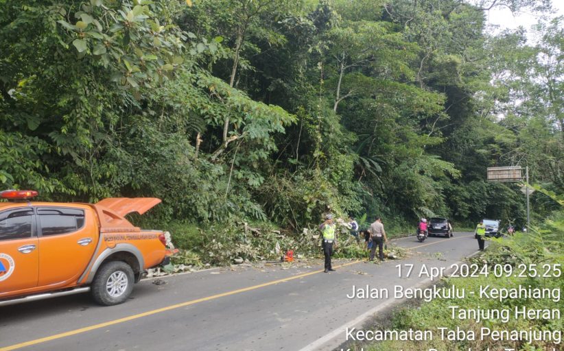 Satlantas Polres Kepahiang Bersinergi dengan BPBD Kepahiang Evakuasi Pohon Tumbang di Jalan Lintas Kepahiang-Bengkulu