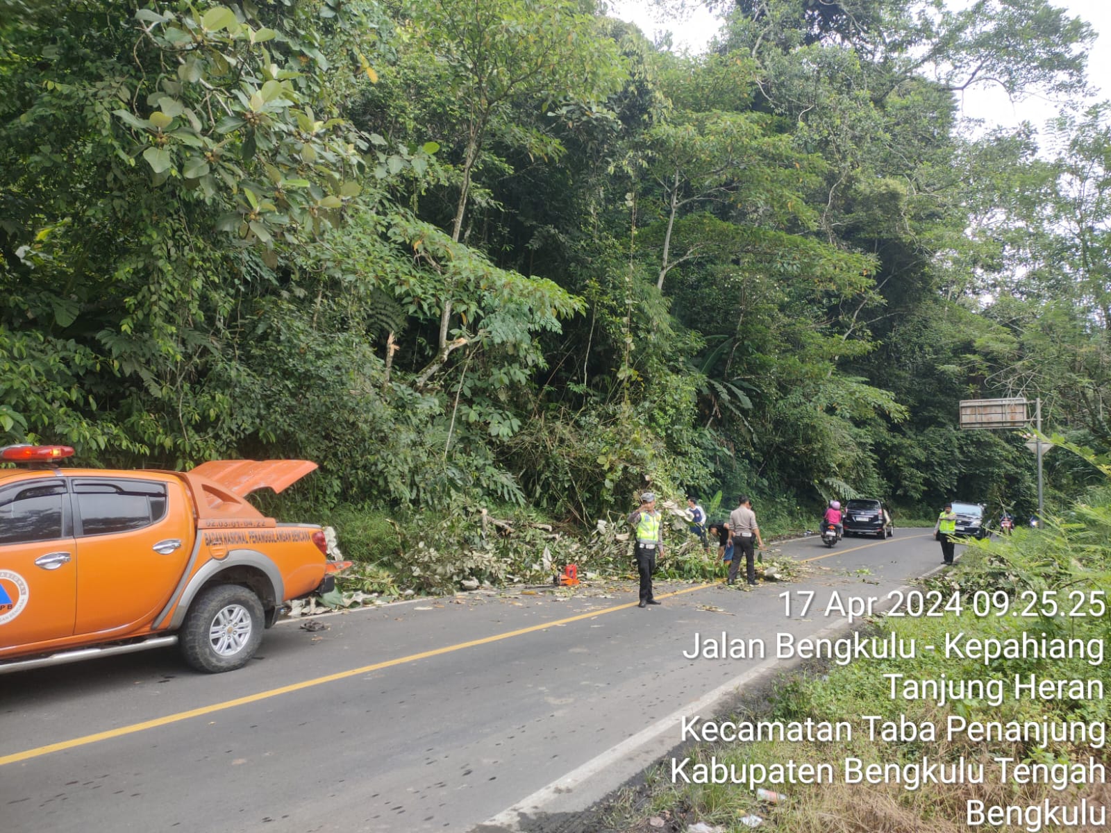 Satlantas Polres Kepahiang Bersinergi dengan BPBD Kepahiang Evakuasi Pohon Tumbang di Jalan Lintas Kepahiang-Bengkulu