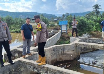Kapolsek Lebong Utara Cek Ketersediaan Air di Irigasi
