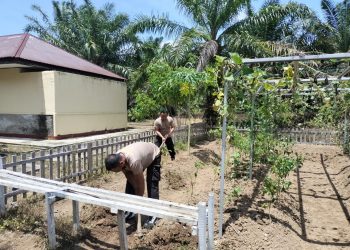 Polsek Semidang Alas Maras Dukung Program Ketahanan Pangan dengan Persiapan Lahan Pertanian