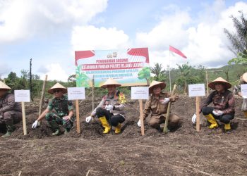 Kapolres Rejang Lebong Pimpin Penanaman Jagung di Desa Pungguk Lalang dalam Mendukung Program Ketahanan Pangan Nasional