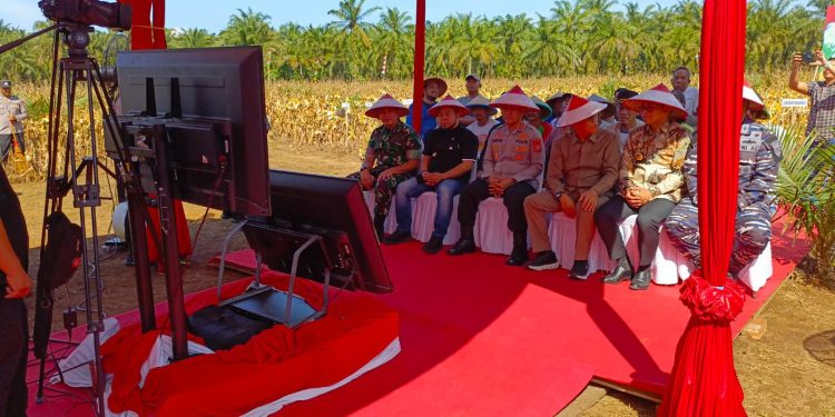 Kapolda Bengkulu Melaksanakan Panen Raya Kuartal II di Polres Seluma: Guna Mendukung Program Asta Cita Presiden