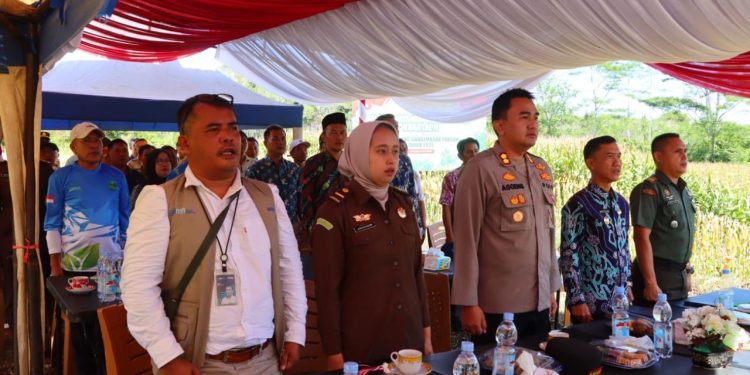 Wujudkan Ketahanan Pangan, Polres Lebong Resmikan Panen Jagung Serentak dan Pembangunan Gudang