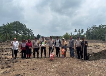 DUKUNG KETAHANAN PANGAN NASIONAL, KAPOLSEK PINO BERSAMA BHABINKAMTIBMAS DAMPINGI WARGA TANAM JAGUNG DI DESA ULAK LEBAR