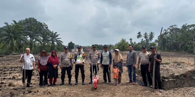DUKUNG KETAHANAN PANGAN NASIONAL, KAPOLSEK PINO BERSAMA BHABINKAMTIBMAS DAMPINGI WARGA TANAM JAGUNG DI DESA ULAK LEBAR