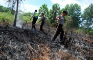 Dishut siap Bantu Polisi Selidiki Pembakaran Hutan