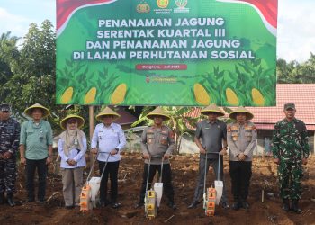 Kapolda Bengkulu Melaksanakan Penanaman Jagung Serentak Kuartal III di Kecamatan Pondok Kelapa, Bengkulu Tengah