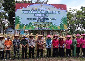 Sinergi Wujudkan Swasembada Pangan: Kapolres Mukomuko Hadiri Panen Raya Kuartal II”