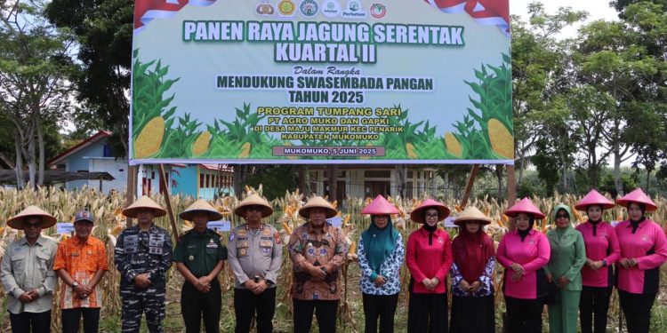 Sinergi Wujudkan Swasembada Pangan: Kapolres Mukomuko Hadiri Panen Raya Kuartal II”