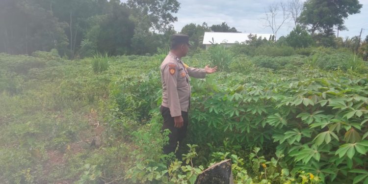 Monitoring Pemanfaatan Lahan tidur di Wilkum Polsek Seluma Timur di Desa Rawa Sari.