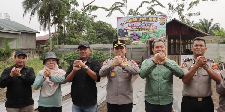 Dukung Ketahanan Pangan, Polresta Bengkulu Panen Ubi Ungu dan Tanam Aneka Sayuran di Lahan P2B
