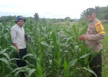 *POLRI UNTUK MASYARAKAT, LAYANAN KEPOLISIAN 110