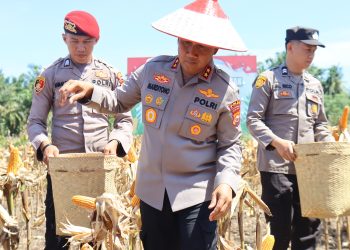 Kapolda Bengkulu Bersama Gubernur dan Forkopimda Hadiri Panen Raya Jagung Kuartal II, Dukung Penuh Program Ketahanan Pangan Nasional