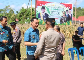 Panen Jagung Serentak Nasional 2025, Presiden Apresiasi Kontribusi Daerah