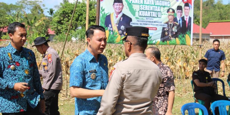 Panen Jagung Serentak Nasional 2025, Presiden Apresiasi Kontribusi Daerah