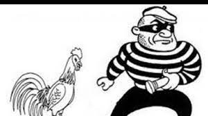 Kasus Pencurian Ayam, Polsek Selebar Gelar Mediasi