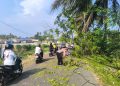Patroli Polsek Muara Bangkahulu Evakuasi Pohon Tumbang di Jalan Budi Utomo