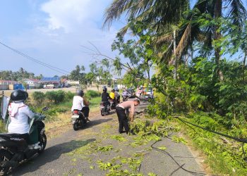 Patroli Polsek Muara Bangkahulu Evakuasi Pohon Tumbang di Jalan Budi Utomo