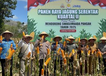 POLRES LEBONG GELAR PANEN RAYA JAGUNG SERENTAK, GROUNDBREAKING 18 GUDANG POLRI, DAN ESKPOR PERDANA KE MALAYSIA