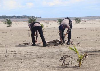 Personel Ditsamapta Polda Bengkulu Laksanakan Kurve Pantai di Area Konservasi Penyu