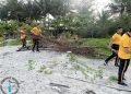 Personel Ditreskrimsus dan Ditresnarkoba Polda Bengkulu Bersihkan Pantai Kualo, Dukung Program Gerakan ASRI